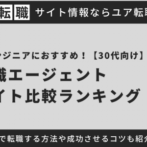 【30代向け】システムエンジニアにおすすめの転職サイト・エージェントを紹介！未経験で転職する方法や転職を成功させるコツを徹底解説